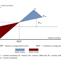 Rentowność produktu: Jak zwiększyć zyski i uniknąć strat w biznesie